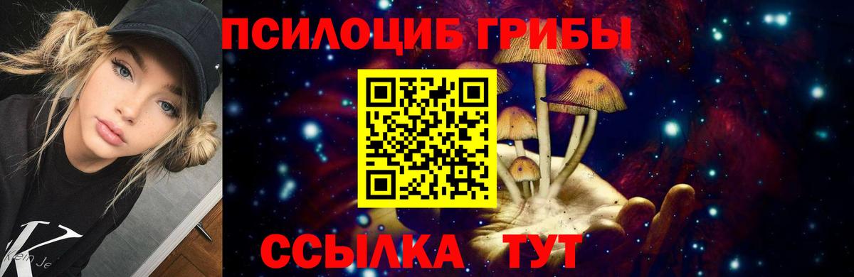 Кондопога  Псилоцибиновые грибы Psilocybine cubensis  Вход с VPN 