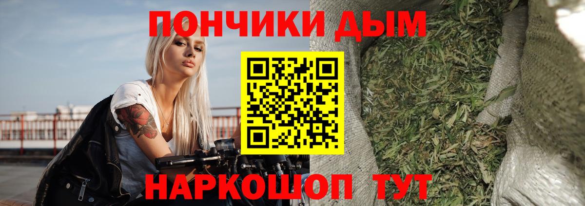 Кондопога  Канабис гибрид  Вход с VPN  Марихуана семена 